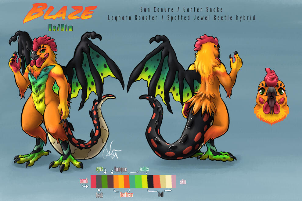 Blaze Refsheet